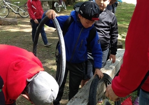 attels2
