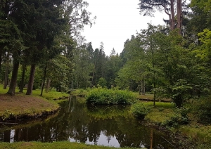 attels2