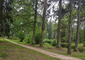attels2