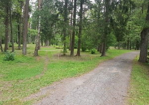 attels2