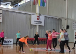 Attēls: kursi Gulbenes novada sporta skolotājiem