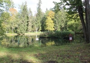 attels2
