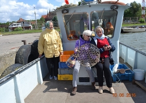 attels2