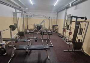 Sporta zāles