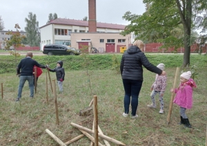 Brīvprātīgie seniori