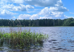 Līdakas