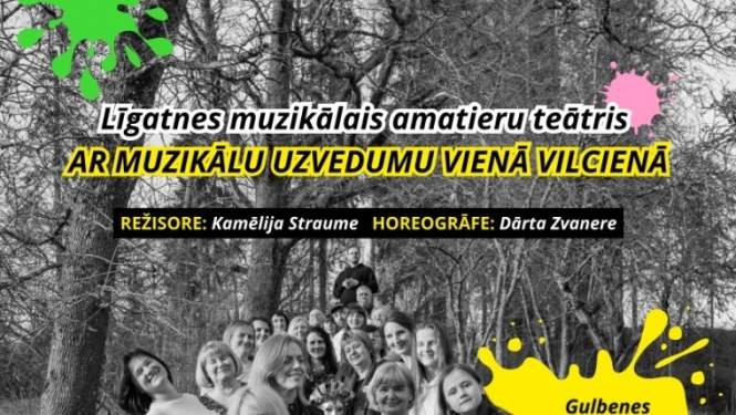 Afiša: Izrāde "Kurš nozaga krāsas?"