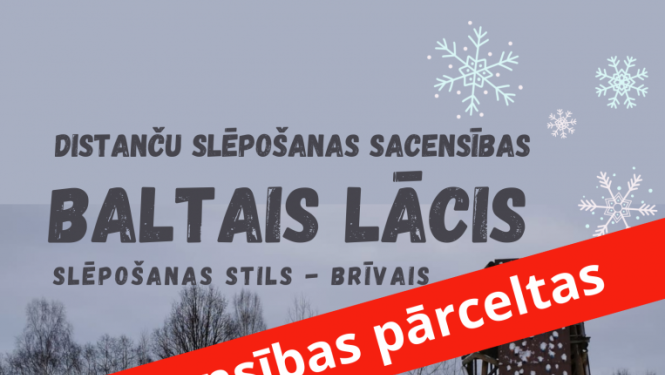 Baltais lācis