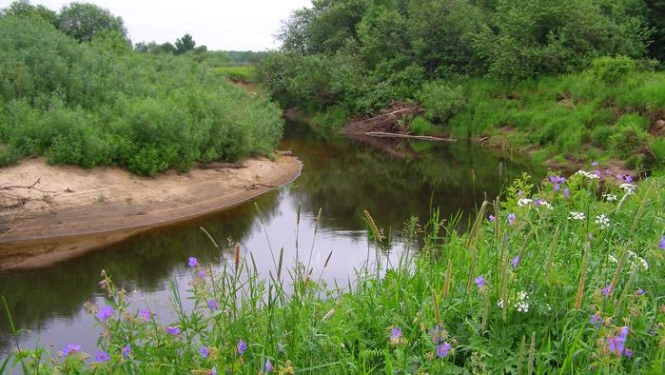 Foto: Sitas un Pededzes paliene