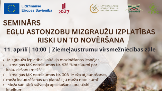 Attēl: Seminārs egļu astoņzobu mizgraužu izplatības riski un to novērtēšana Gulbenē