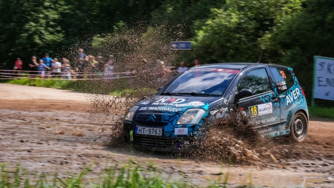 Rallijs