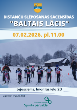 Baltais lācis