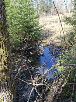 Attēls: Pamazām “iekustas” projekts “FASAWASTE”  (Projekta pilns nosaukums latviski - “Cīņa pret izkaisītiem un pamestiem atkritumiem