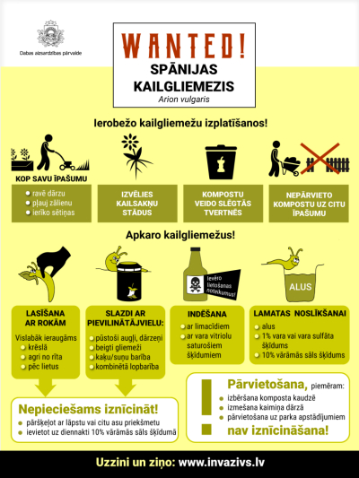 Kailgliemesi