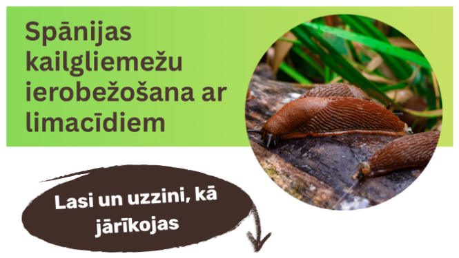 Gliemeži
