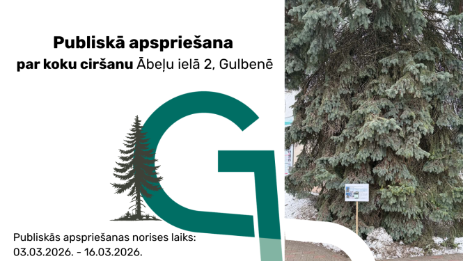 Atēls: Publiskā apspriešana par koku ciršanu Ābeļu ielā 2, Gulbenē