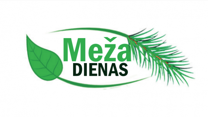 Attēls: Meža dienas 2024 Gulbenē