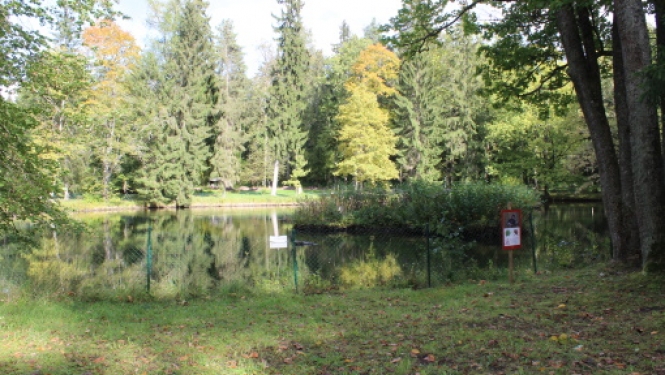 attels2