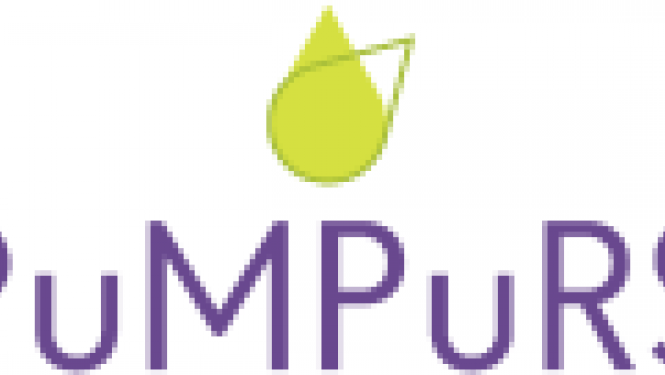 pumpurs-logo.png