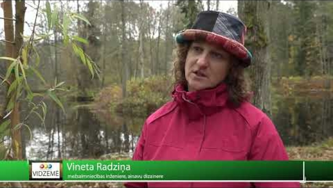 Stādījumu atjaunošana Gulbenē Emzes parkā.