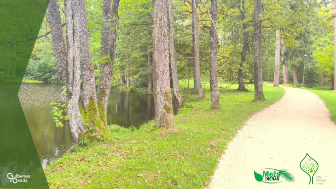 Attēls: aicina Meža dienas aktivitātes Gulbenē