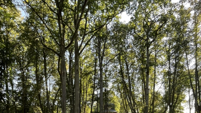 Attēls: SIA Leff starp laureātiem Vidzemes stāstos 2023