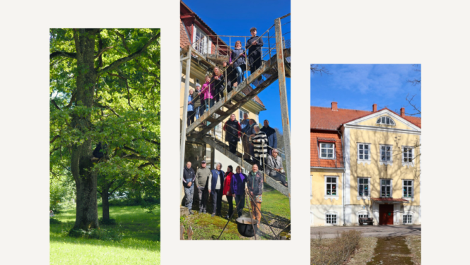 Attēls: Talka Beļavas muižas kungu mājā un parkā 25. aprīlī