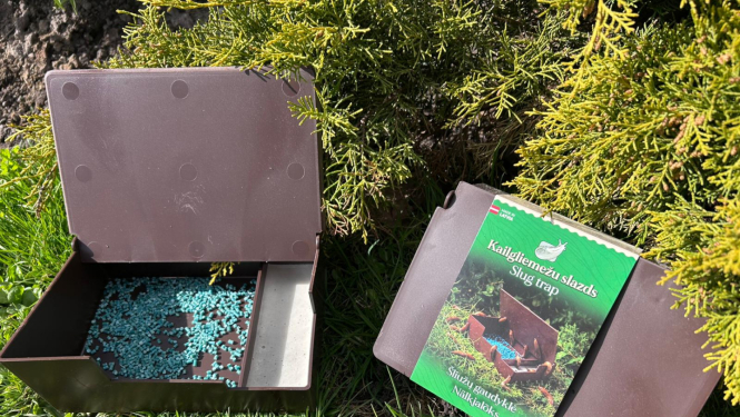 Attēls: Spānijas kailgliemežu apkarošanas metodes