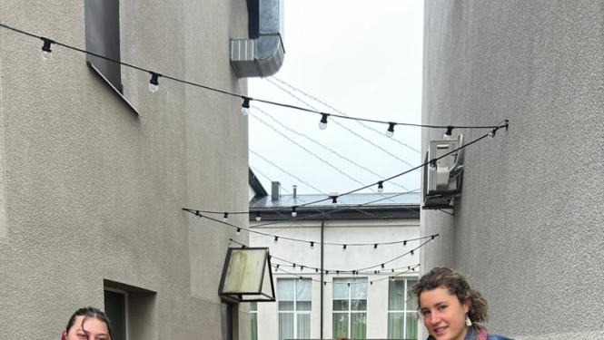 Eiropas brīvprātīgie