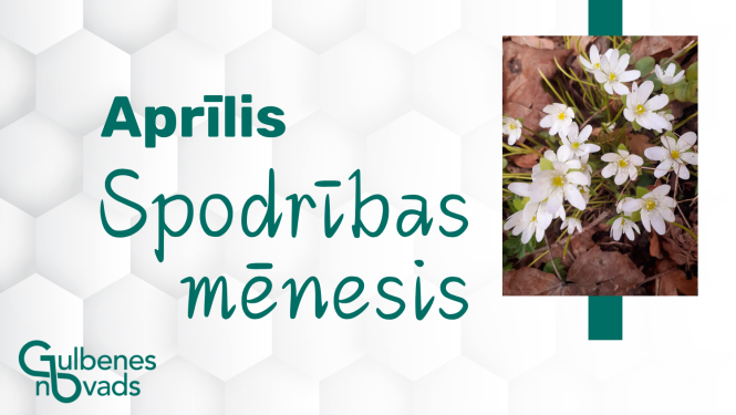 attēls: Gulbenē izsludināts spodrības mēnesis: kā pieteikt zaļo atkritumu izvešanu?