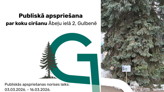 Atēls: Publiskā apspriešana par koku ciršanu Ābeļu ielā 2, Gulbenē