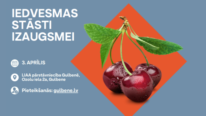 Attēls: pasākums "IEDVESMAS STĀSTI IZAUGSMEI"