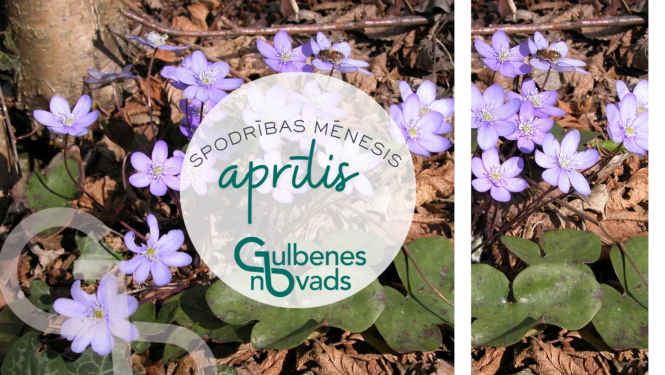 Atēls: Aprīlis Gulbenes novadā “Spodrības mēnesi”
