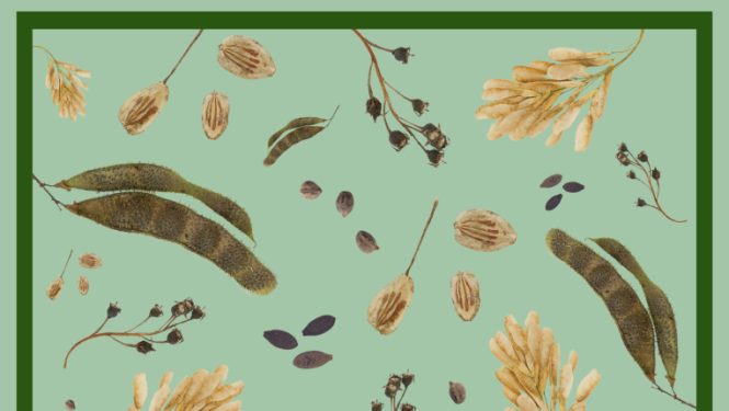 Afiša: Izstāde "Svešie mūsu dabā"