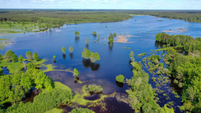 Attēls: Pļavas garšas diena – tradīcija, kas turpinās jau trešo gadu