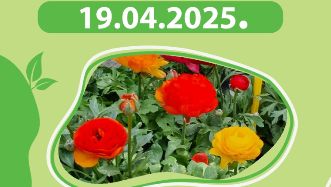 Attēls: Zaļais tirdziņš aprīlī Gulbenē