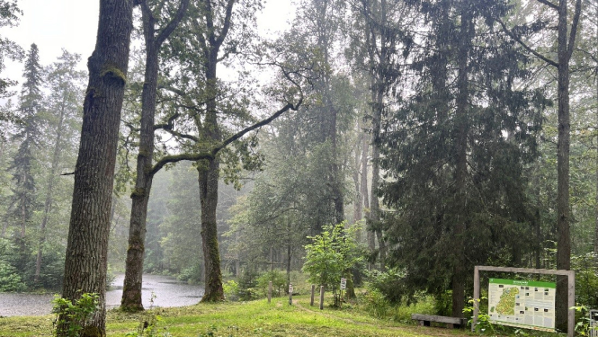 Attēls: Uzsāk grāvju tīrīšanu un izkopto taku uzturēšanu Emzes parkā