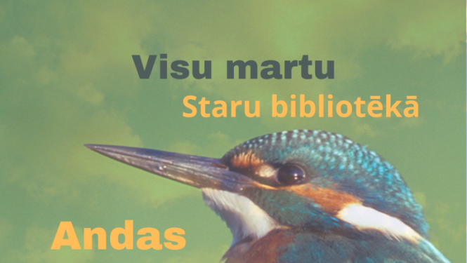 Fotogrāfiju izstāde "Putni Daukstēs"