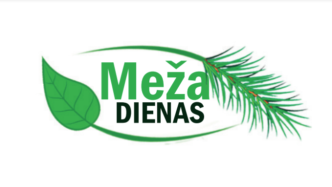 Attēls: Meža dienas 2024 Gulbenē