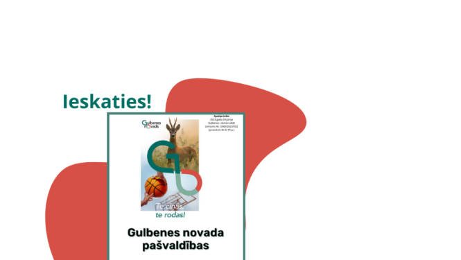 Vizuālis: Gulbenes novada pašvaldības publiskais pārskats 2022
