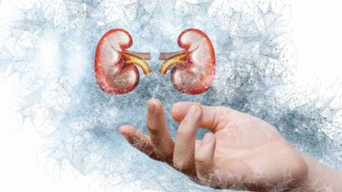 Attēls: Pasaules Nieru diena