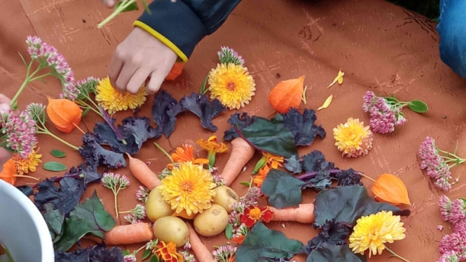 Attēlotas projekta “Veselīgs dzīvesveids Gulbīša pamatskolā” aktivitātes