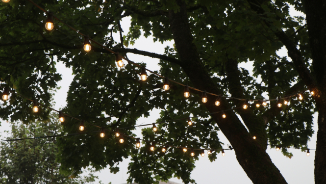 Lampiņas darbojas ar saules saražoto elektroenerģiju