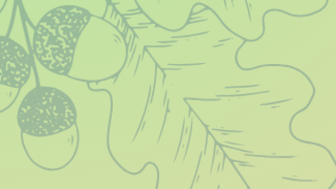 Attēls: aicina ziņot par zīļu nogatavošanos