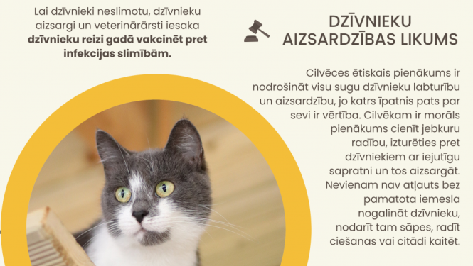 Attēls ar informāciju par rīcību pie klaiņojošiem dzīvniekiem