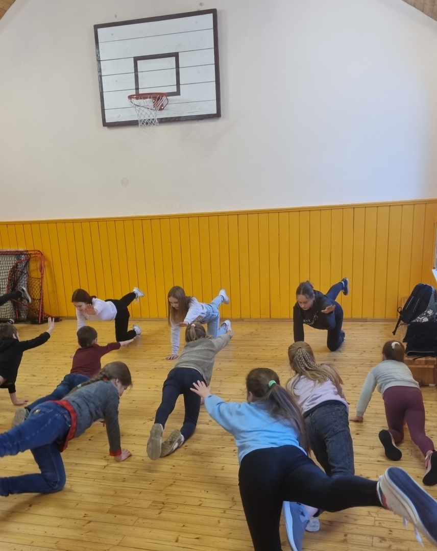 Attēlotas projekta “Veselīgs dzīvesveids Gulbīša pamatskolā” aktivitātes