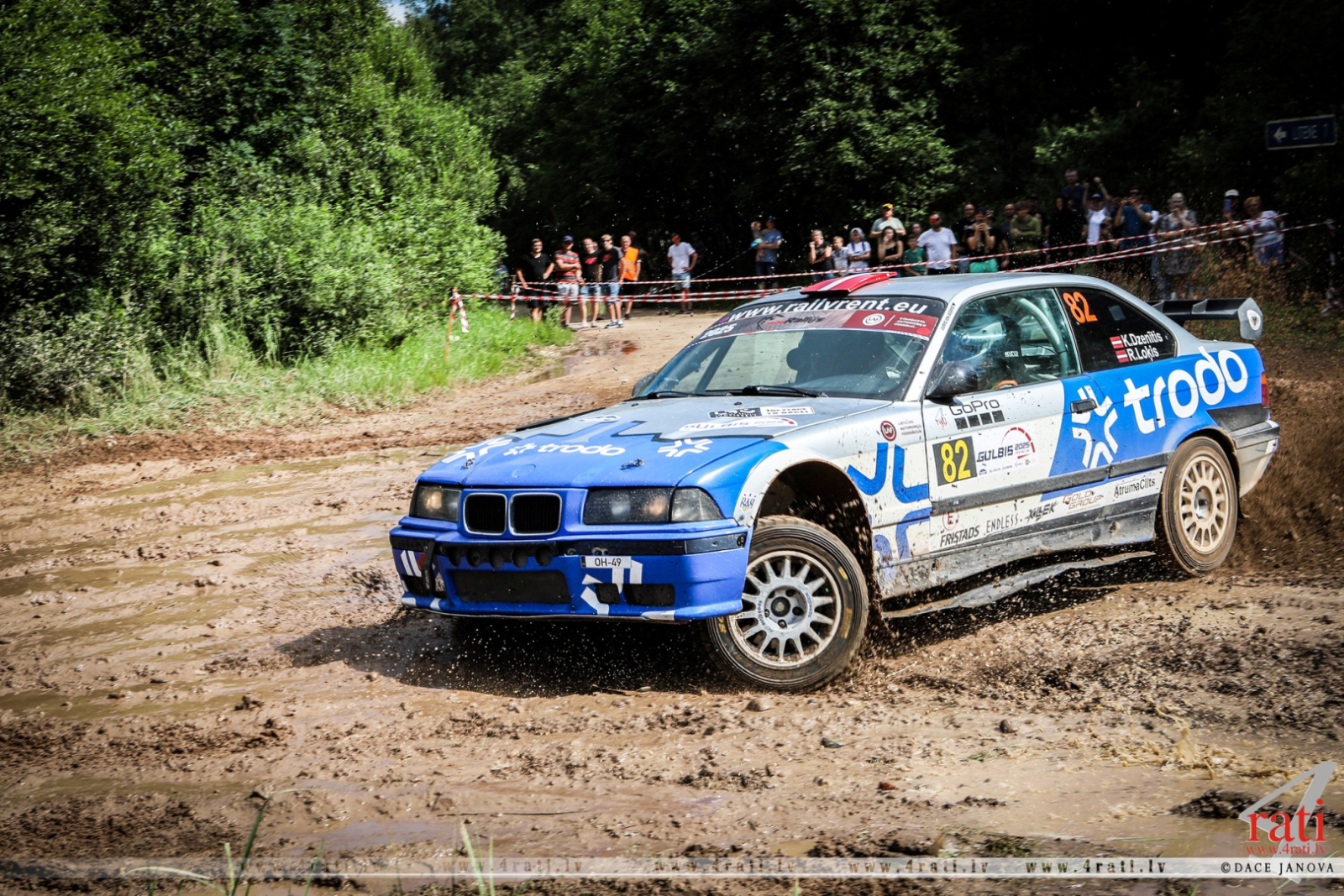 Rallijs