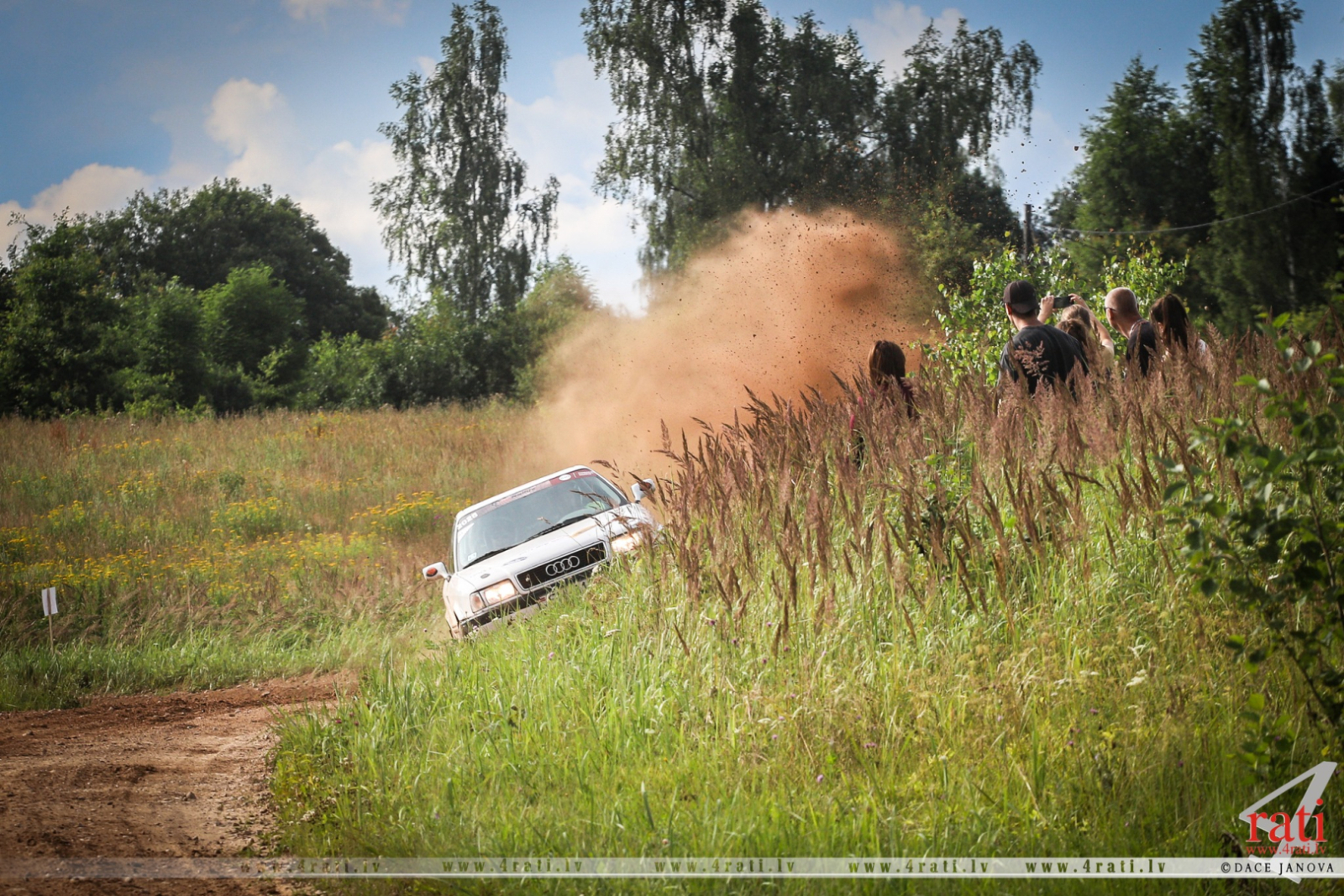 Rallijs