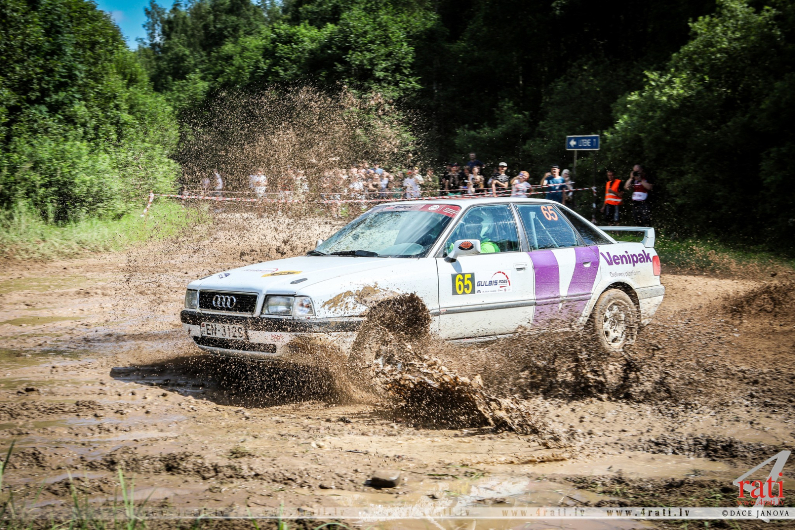 Rallijs