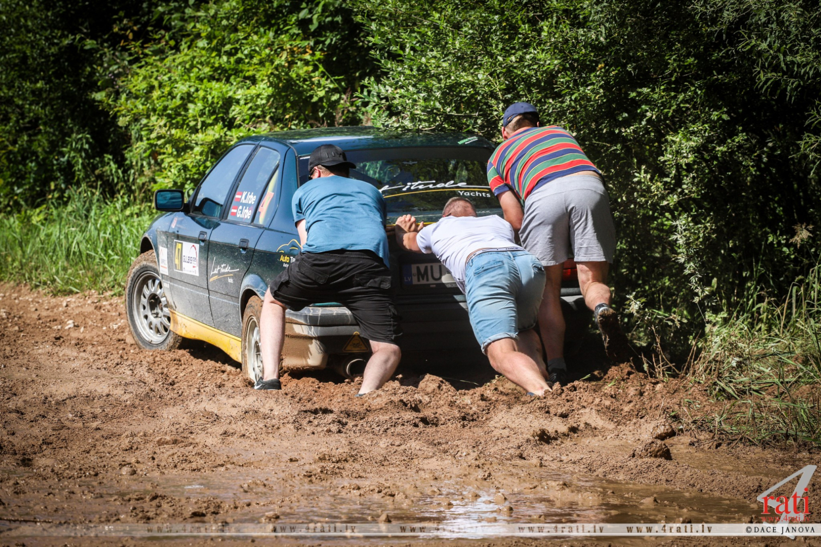 Rallijs